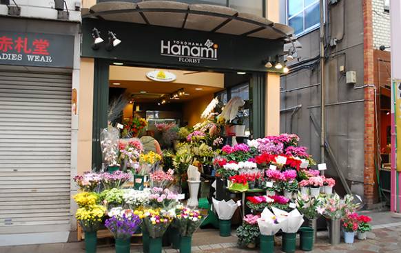 「横浜ハナミ」　（神奈川県横浜市南区）の花屋店舗写真4
