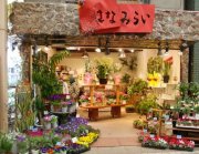 「横浜ハナミ」　（神奈川県横浜市南区）の花屋店舗写真2